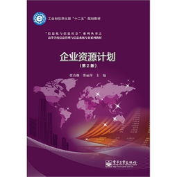 企业资源计划系统与信息系统运行维护服务