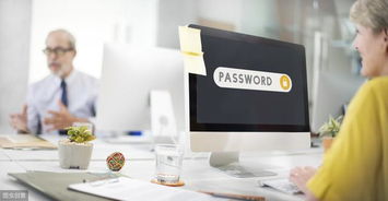 构建创新商标品牌与高效信息系统运维服务的双轮驱动战略